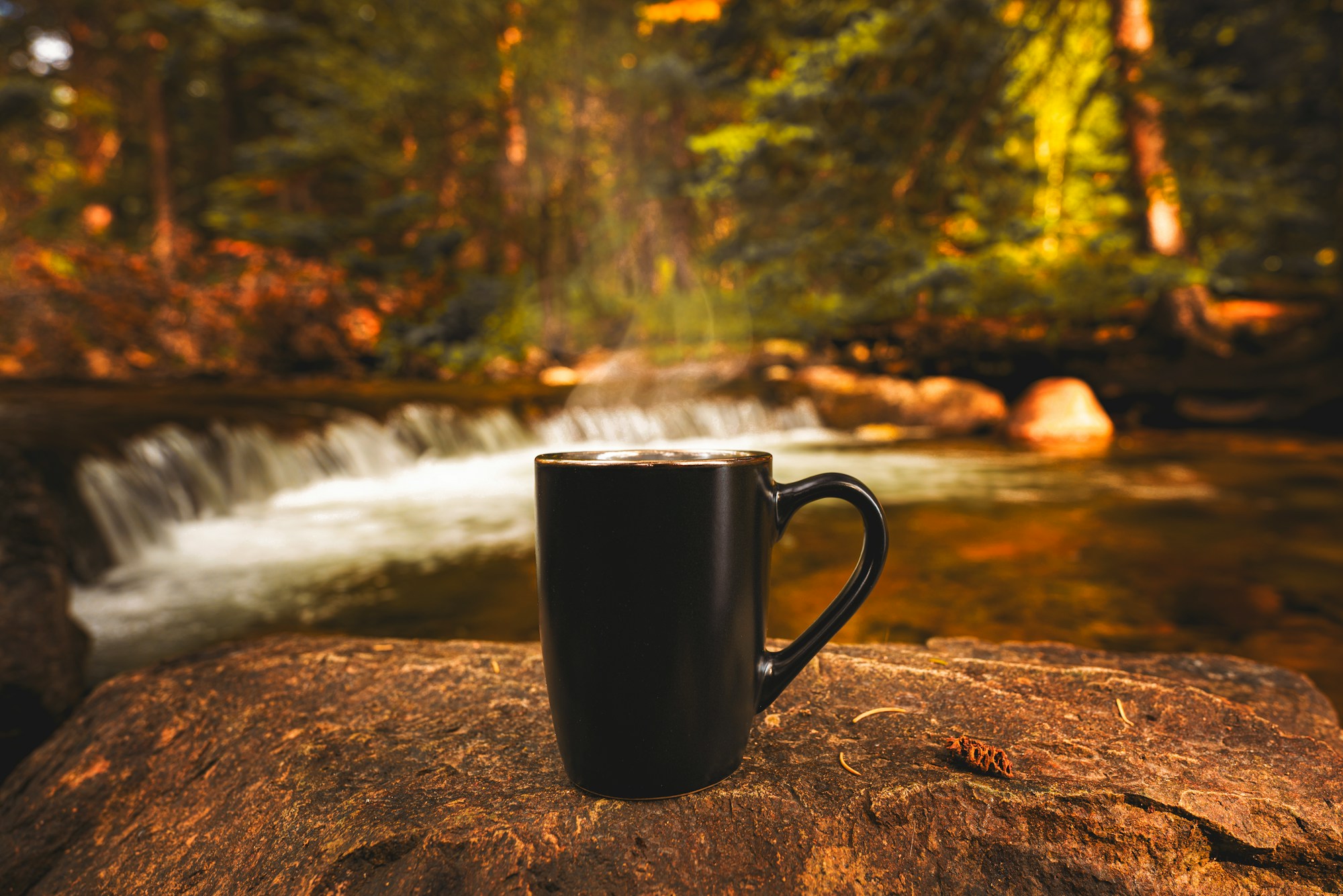 A cup of coffee on a rock by a stream